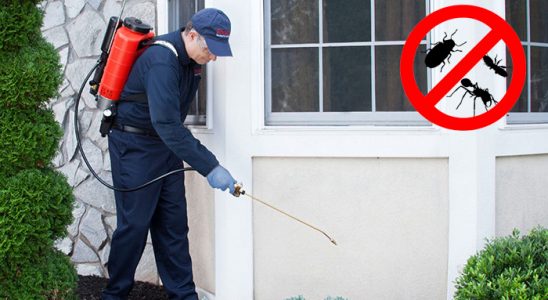 Eyüp Dezenfeksiyon böcek ilaçlama ve haşere kontrolü — ilaclama-tr.com